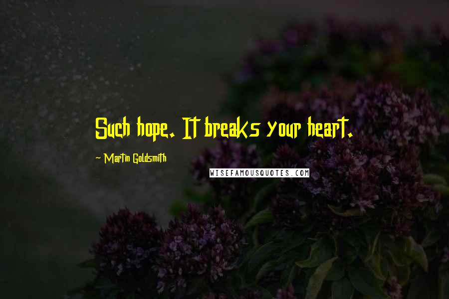 Martin Goldsmith Quotes: Such hope. It breaks your heart.