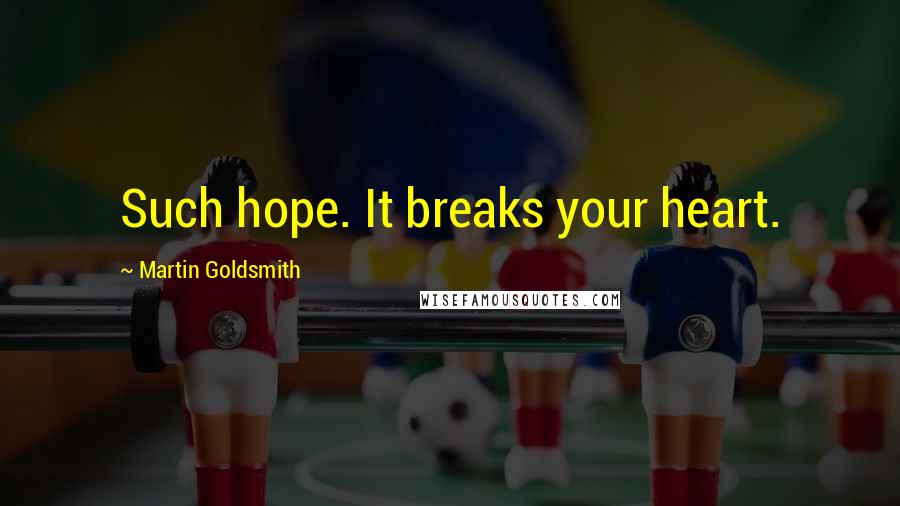 Martin Goldsmith Quotes: Such hope. It breaks your heart.