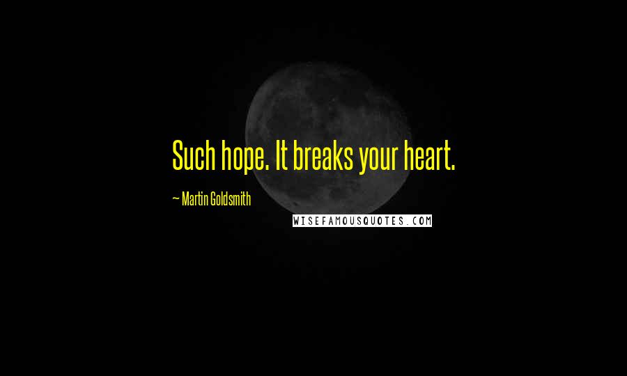 Martin Goldsmith Quotes: Such hope. It breaks your heart.