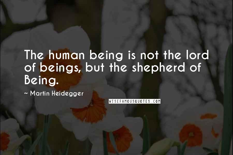 Martin Heidegger Quotes: The human being is not the lord of beings, but the shepherd of Being.
