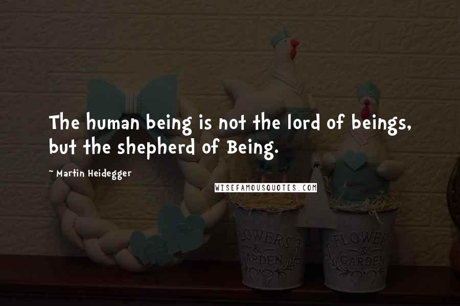 Martin Heidegger Quotes: The human being is not the lord of beings, but the shepherd of Being.