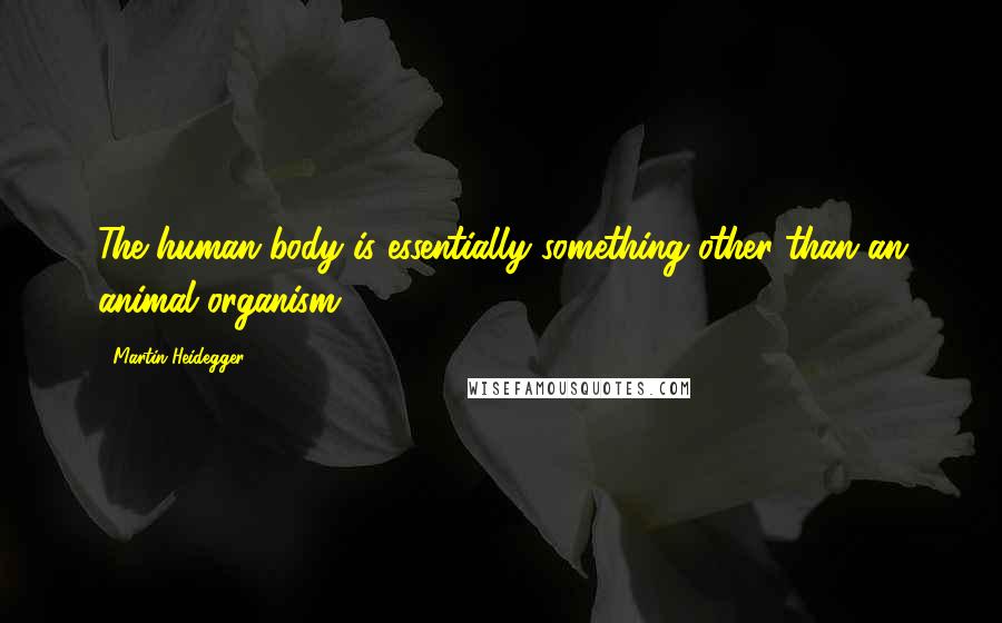 Martin Heidegger Quotes: The human body is essentially something other than an animal organism.