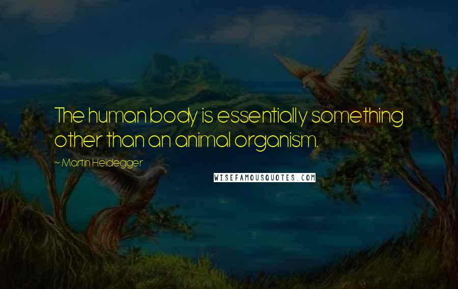 Martin Heidegger Quotes: The human body is essentially something other than an animal organism.