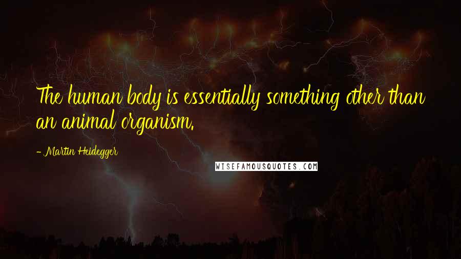 Martin Heidegger Quotes: The human body is essentially something other than an animal organism.