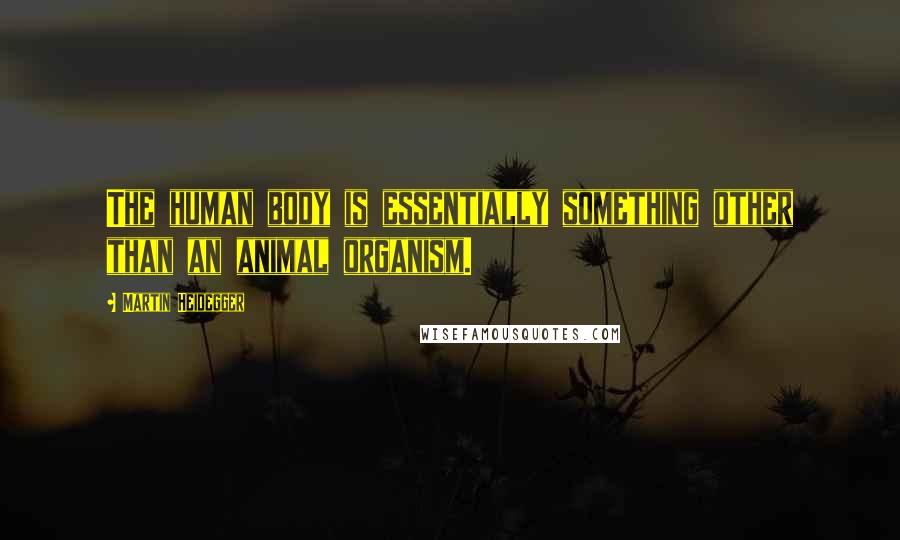 Martin Heidegger Quotes: The human body is essentially something other than an animal organism.