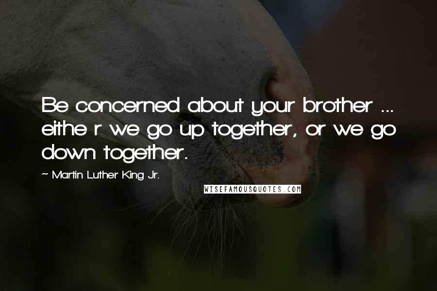 Martin Luther King Jr. Quotes: Be concerned about your brother ... eithe r we go up together, or we go down together.