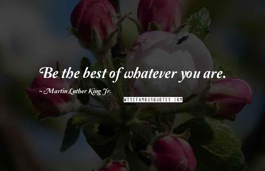 Martin Luther King Jr. Quotes: Be the best of whatever you are.