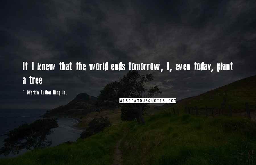 Martin Luther King Jr. Quotes: If I knew that the world ends tomorrow, I, even today, plant a tree