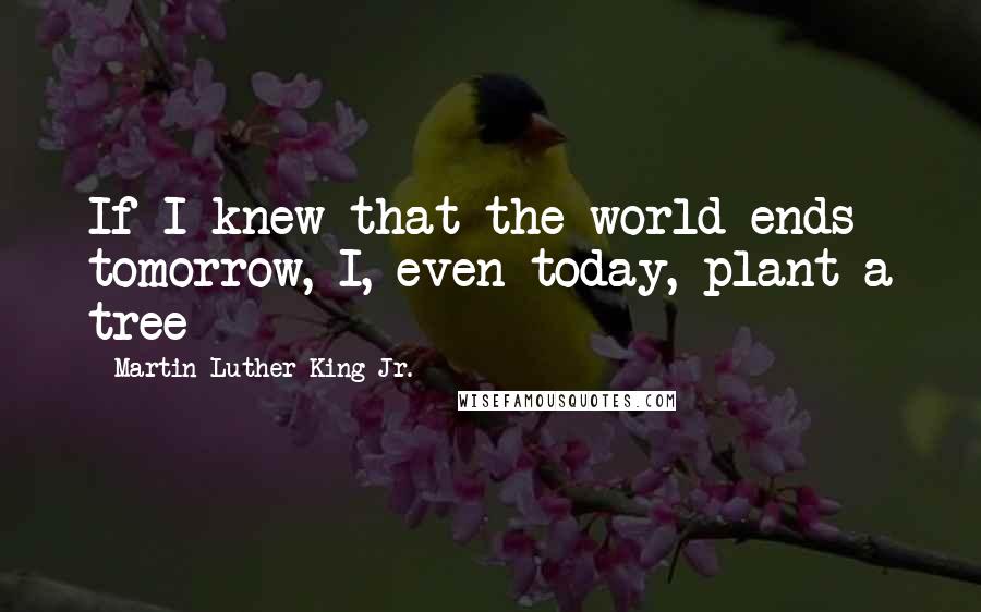 Martin Luther King Jr. Quotes: If I knew that the world ends tomorrow, I, even today, plant a tree