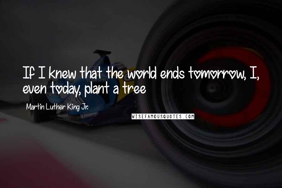 Martin Luther King Jr. Quotes: If I knew that the world ends tomorrow, I, even today, plant a tree
