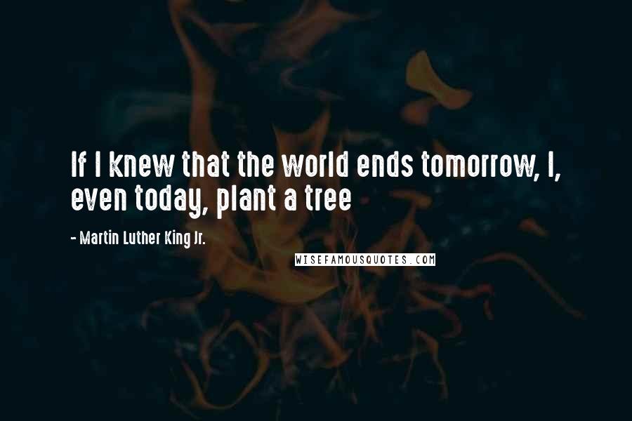 Martin Luther King Jr. Quotes: If I knew that the world ends tomorrow, I, even today, plant a tree