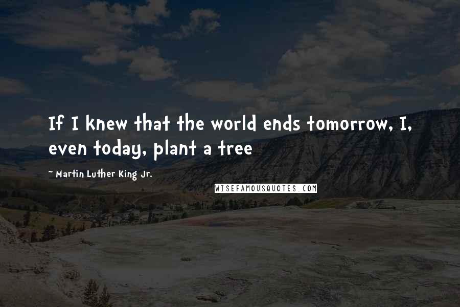 Martin Luther King Jr. Quotes: If I knew that the world ends tomorrow, I, even today, plant a tree