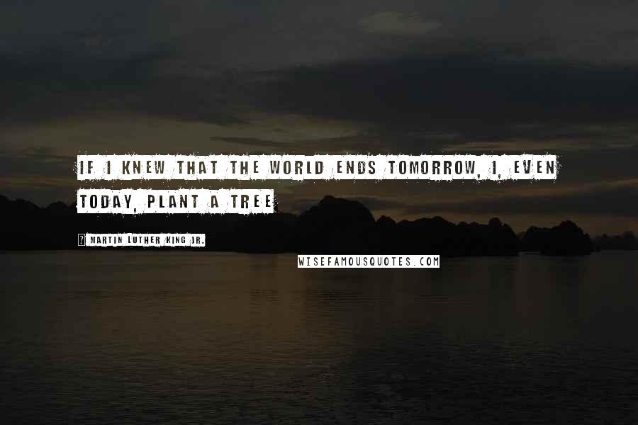 Martin Luther King Jr. Quotes: If I knew that the world ends tomorrow, I, even today, plant a tree