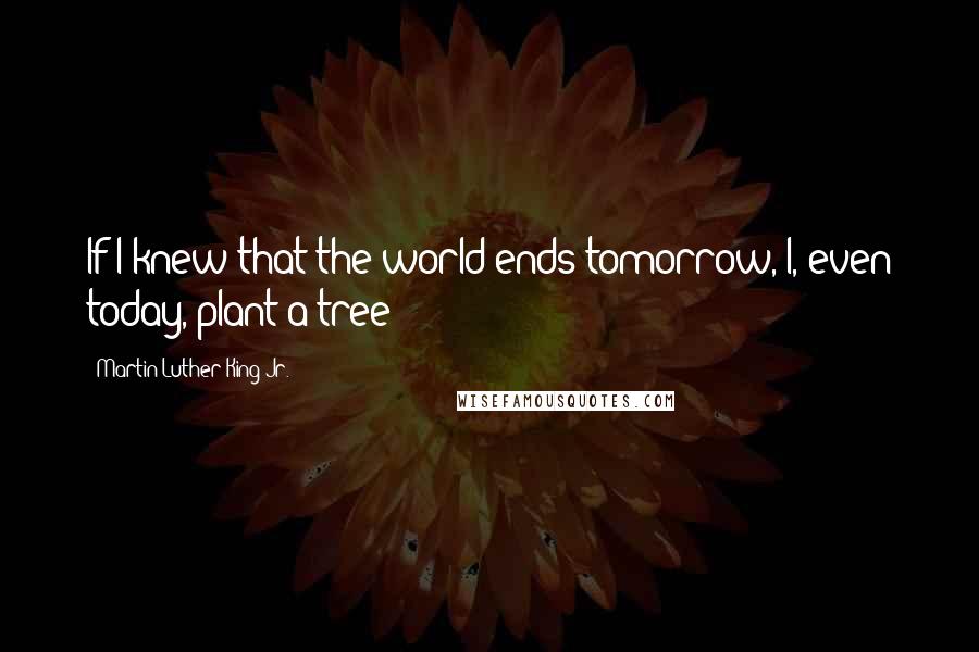 Martin Luther King Jr. Quotes: If I knew that the world ends tomorrow, I, even today, plant a tree