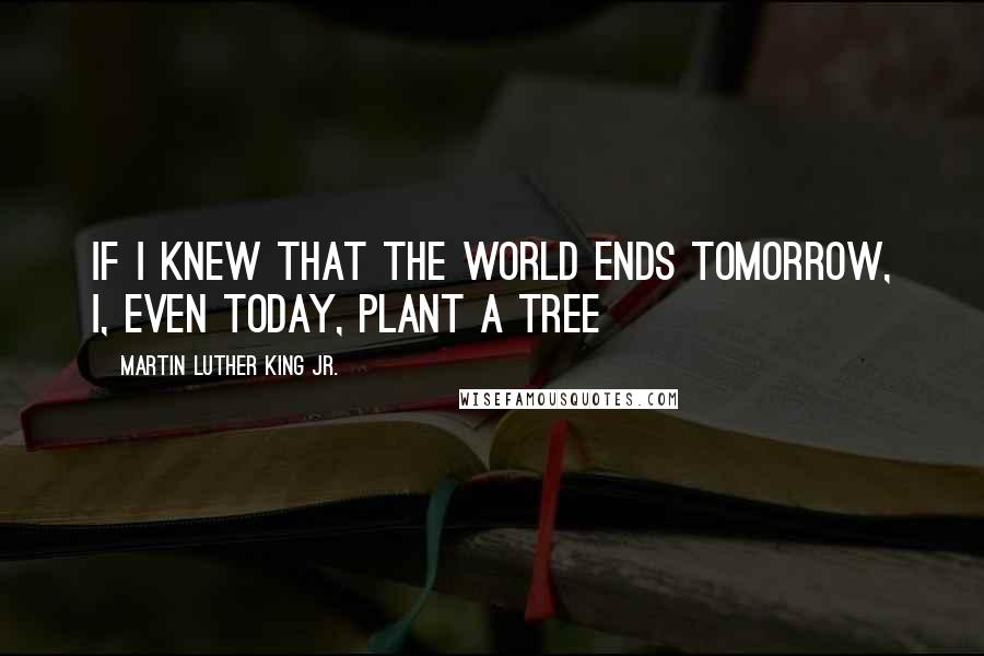 Martin Luther King Jr. Quotes: If I knew that the world ends tomorrow, I, even today, plant a tree