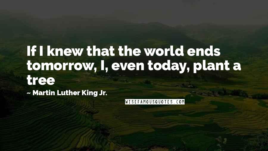 Martin Luther King Jr. Quotes: If I knew that the world ends tomorrow, I, even today, plant a tree