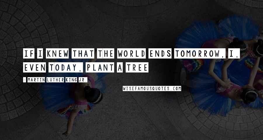 Martin Luther King Jr. Quotes: If I knew that the world ends tomorrow, I, even today, plant a tree