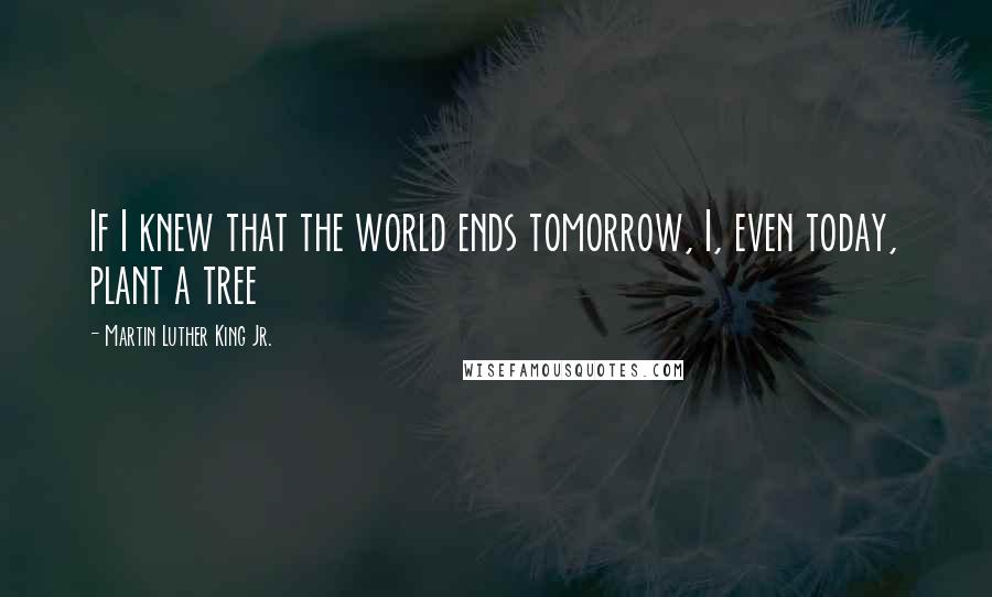 Martin Luther King Jr. Quotes: If I knew that the world ends tomorrow, I, even today, plant a tree