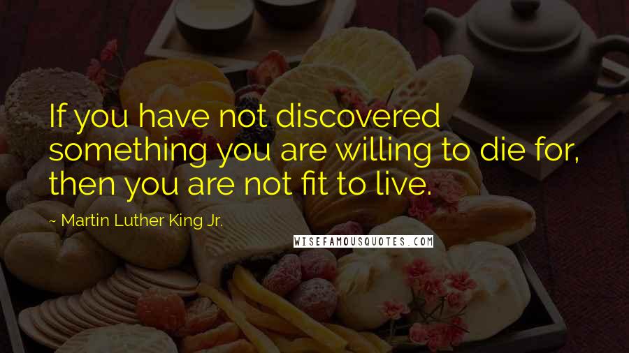 Martin Luther King Jr. Quotes: If you have not discovered something you are willing to die for, then you are not fit to live.