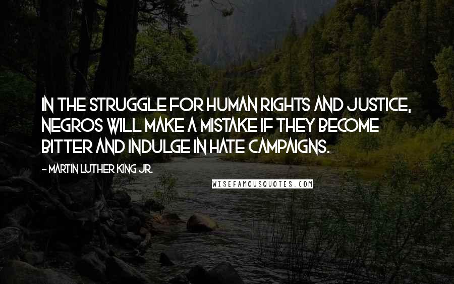 Martin Luther King Jr. Quotes: In the struggle for human rights and justice, Negros will make a mistake if they become bitter and indulge in hate campaigns.