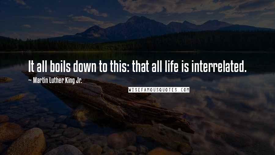 Martin Luther King Jr. Quotes: It all boils down to this: that all life is interrelated.