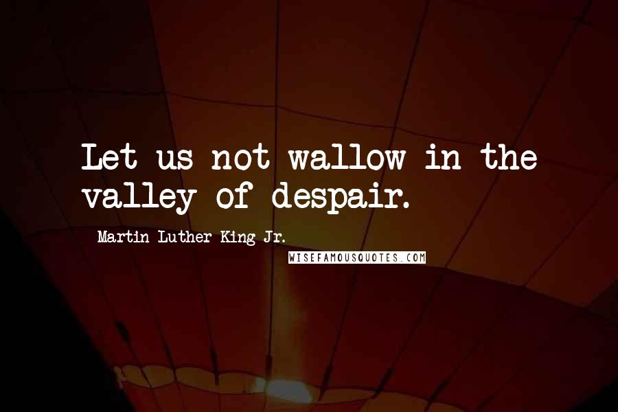 Martin Luther King Jr. Quotes: Let us not wallow in the valley of despair.