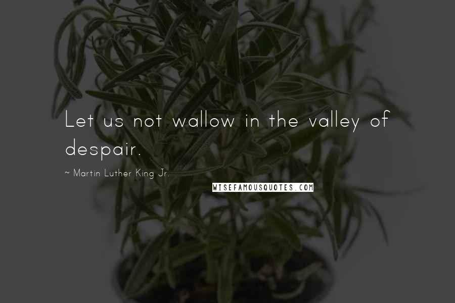 Martin Luther King Jr. Quotes: Let us not wallow in the valley of despair.