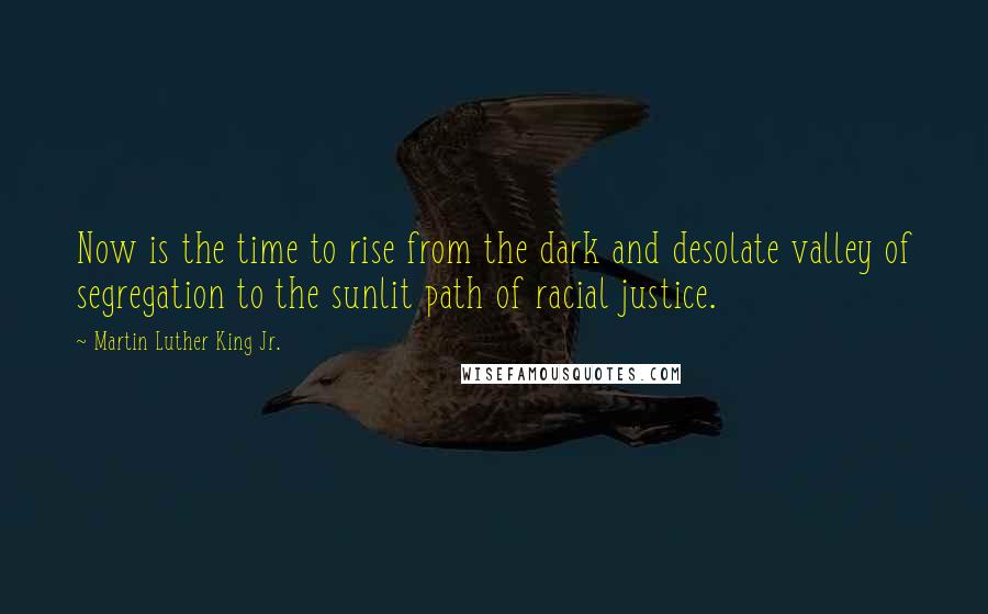 Martin Luther King Jr. Quotes: Now is the time to rise from the dark and desolate valley of segregation to the sunlit path of racial justice.