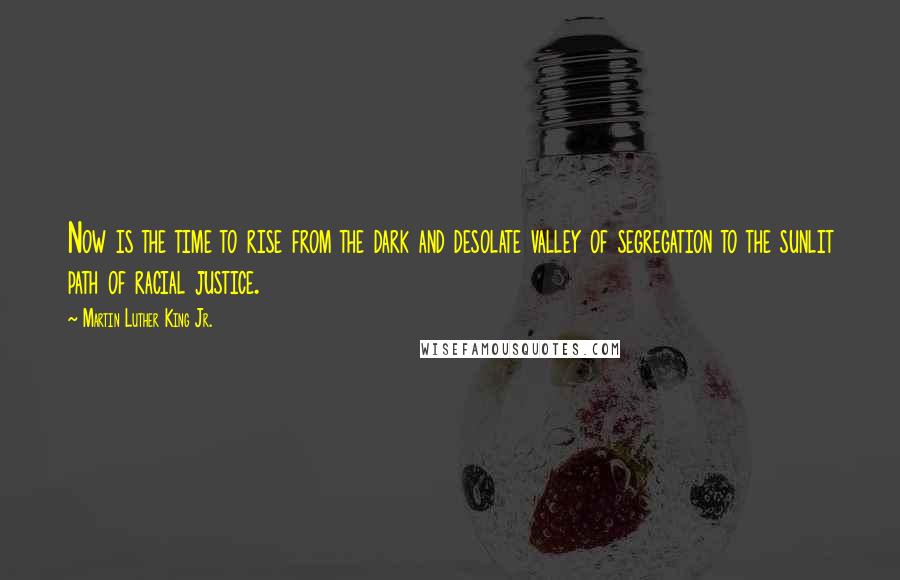 Martin Luther King Jr. Quotes: Now is the time to rise from the dark and desolate valley of segregation to the sunlit path of racial justice.