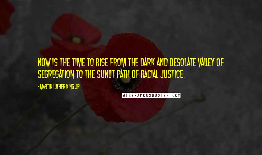 Martin Luther King Jr. Quotes: Now is the time to rise from the dark and desolate valley of segregation to the sunlit path of racial justice.