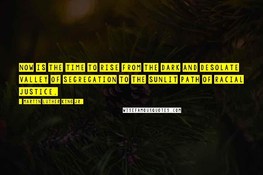 Martin Luther King Jr. Quotes: Now is the time to rise from the dark and desolate valley of segregation to the sunlit path of racial justice.