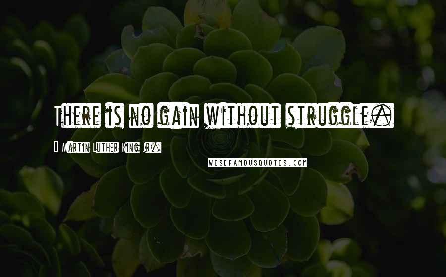 Martin Luther King Jr. Quotes: There is no gain without struggle.