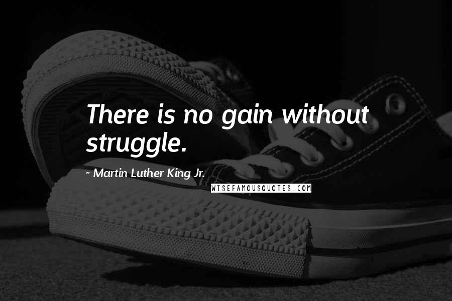 Martin Luther King Jr. Quotes: There is no gain without struggle.