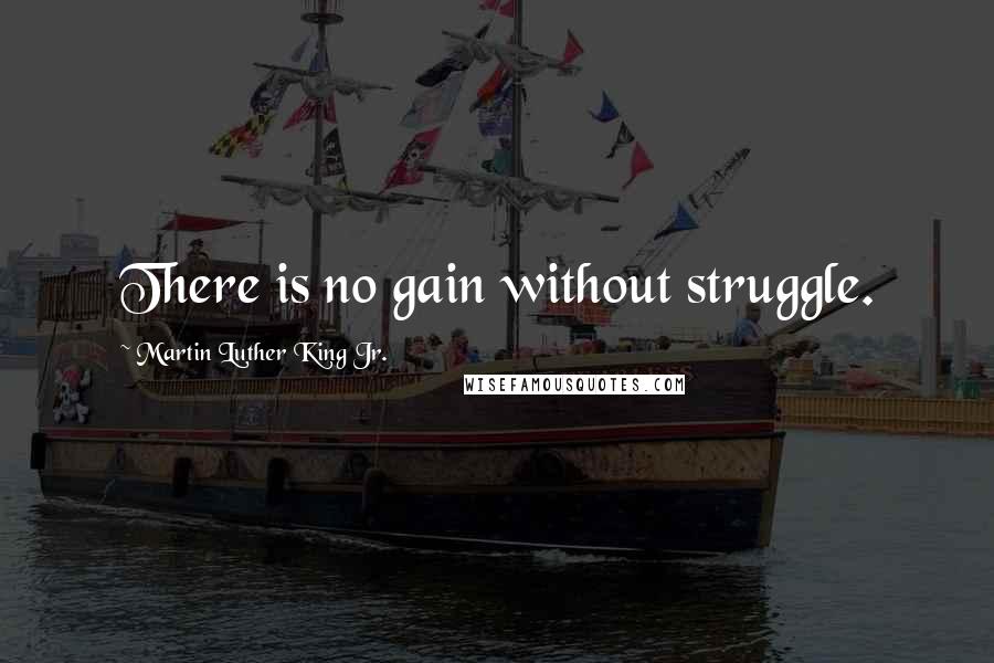 Martin Luther King Jr. Quotes: There is no gain without struggle.