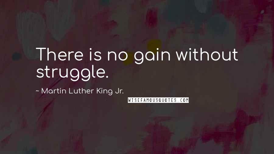 Martin Luther King Jr. Quotes: There is no gain without struggle.