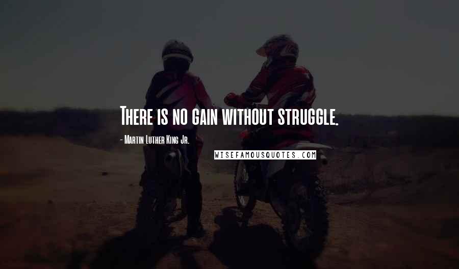 Martin Luther King Jr. Quotes: There is no gain without struggle.