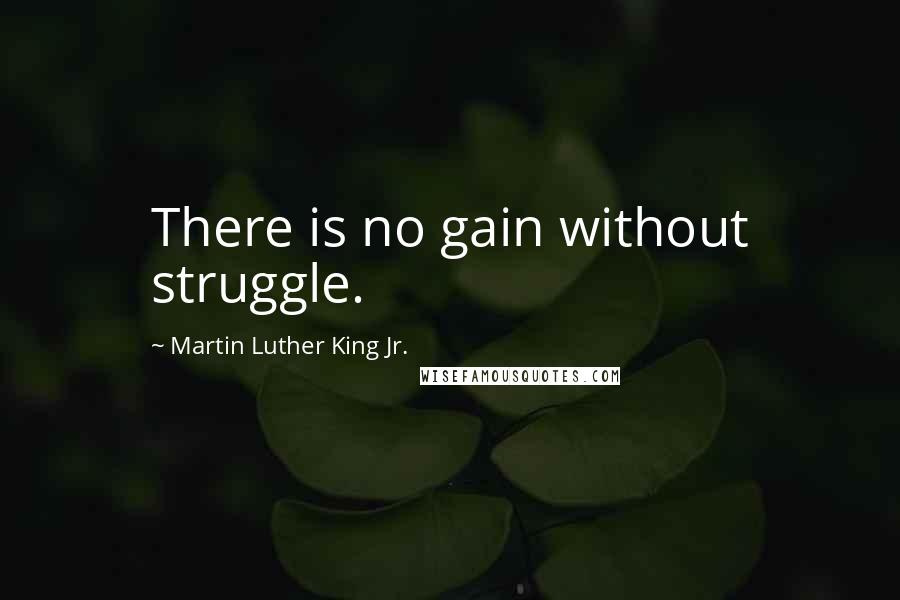 Martin Luther King Jr. Quotes: There is no gain without struggle.