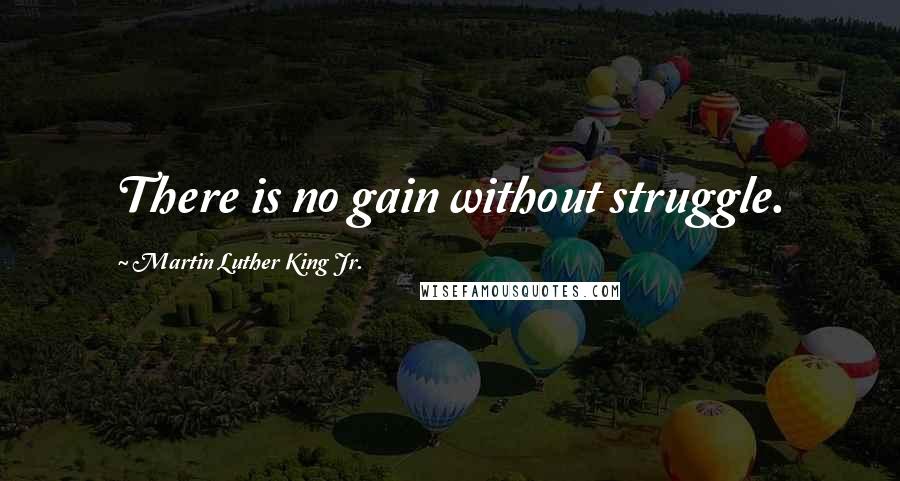 Martin Luther King Jr. Quotes: There is no gain without struggle.