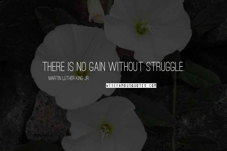 Martin Luther King Jr. Quotes: There is no gain without struggle.