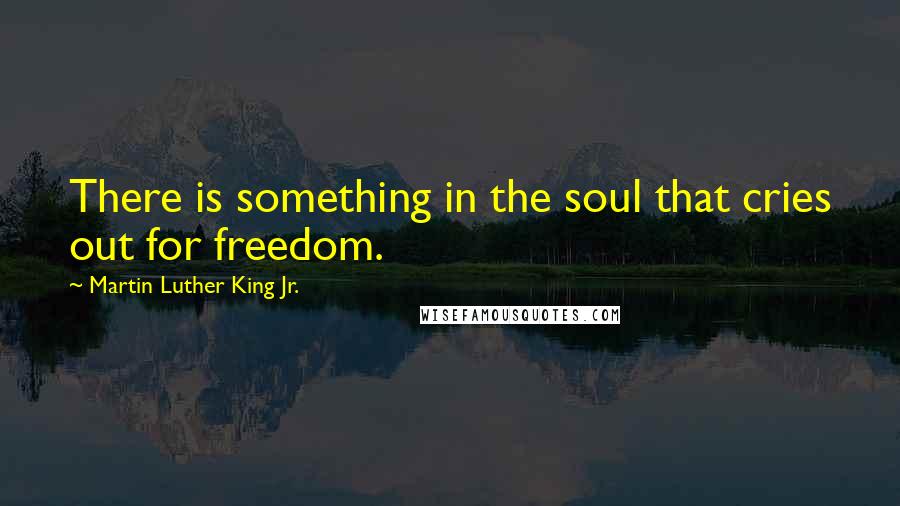 Martin Luther King Jr. Quotes: There is something in the soul that cries out for freedom.