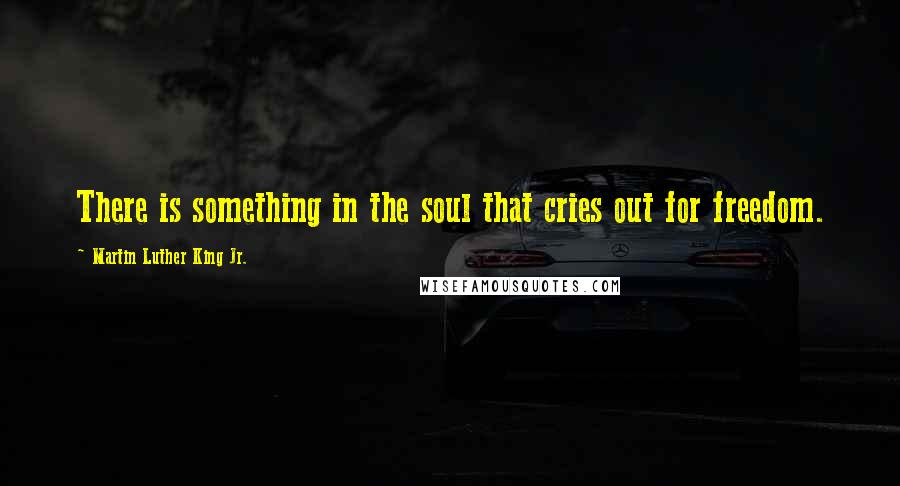 Martin Luther King Jr. Quotes: There is something in the soul that cries out for freedom.