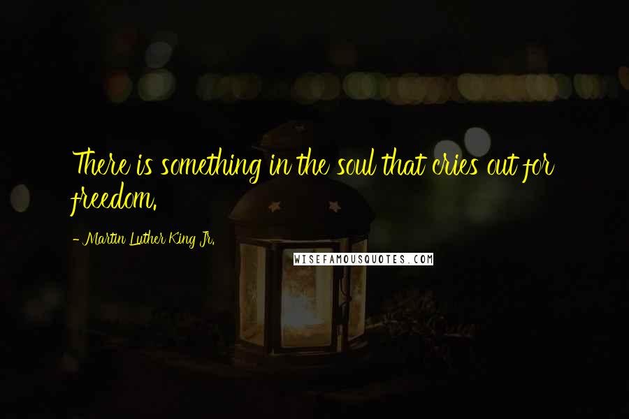 Martin Luther King Jr. Quotes: There is something in the soul that cries out for freedom.