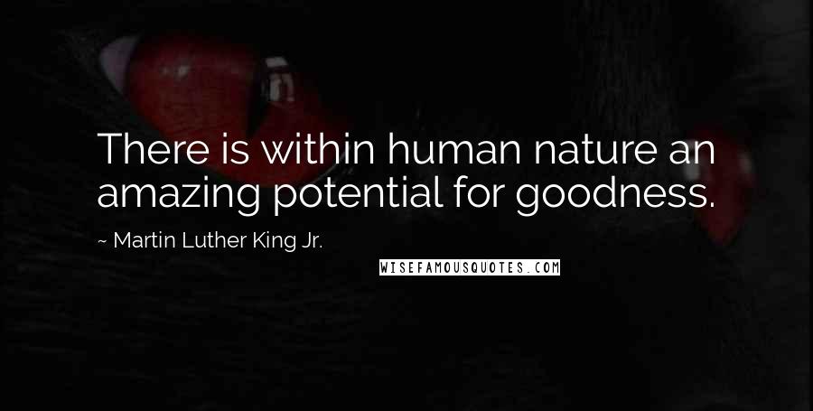 Martin Luther King Jr. Quotes: There is within human nature an amazing potential for goodness.