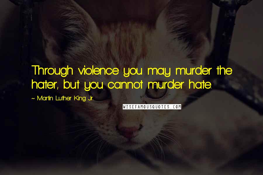 Martin Luther King Jr. Quotes: Through violence you may murder the hater, but you cannot murder hate.