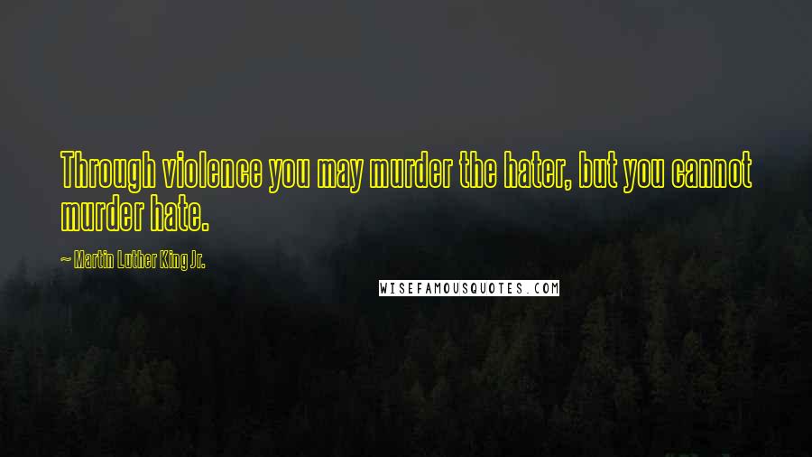 Martin Luther King Jr. Quotes: Through violence you may murder the hater, but you cannot murder hate.