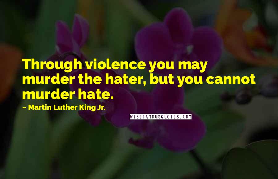 Martin Luther King Jr. Quotes: Through violence you may murder the hater, but you cannot murder hate.