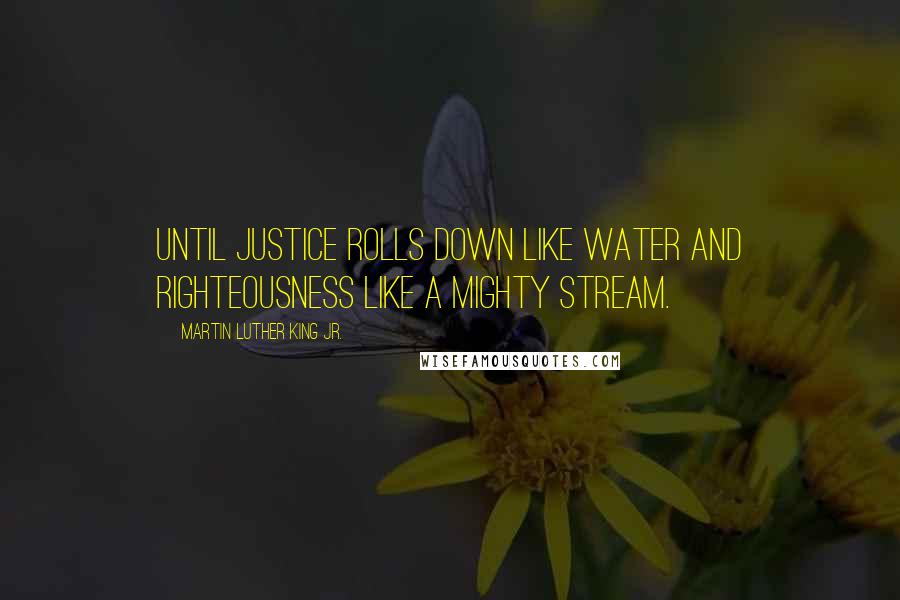 Martin Luther King Jr. Quotes: Until justice rolls down like water and righteousness like a mighty stream.