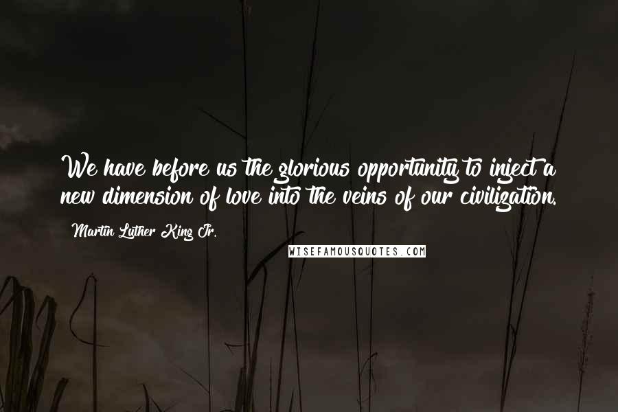 Martin Luther King Jr. Quotes: We have before us the glorious opportunity to inject a new dimension of love into the veins of our civilization.