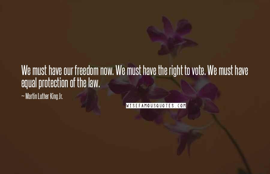 Martin Luther King Jr. Quotes: We must have our freedom now. We must have the right to vote. We must have equal protection of the law.