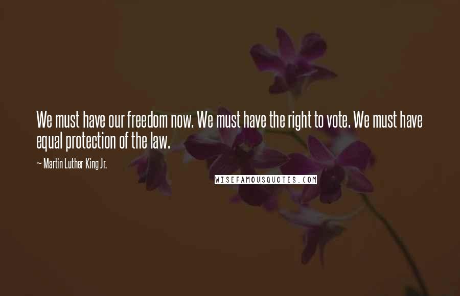 Martin Luther King Jr. Quotes: We must have our freedom now. We must have the right to vote. We must have equal protection of the law.